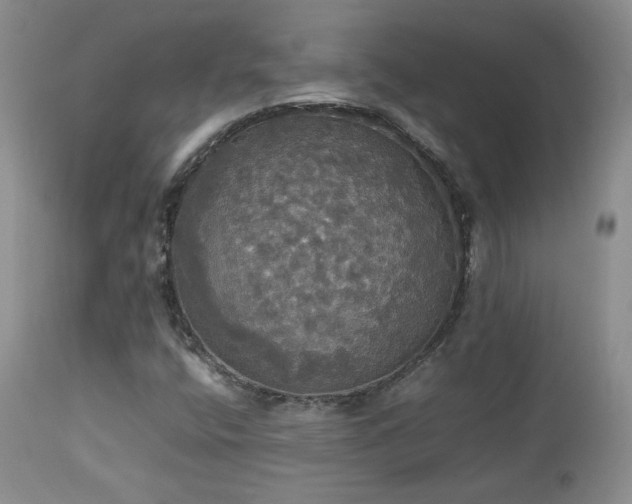 X0000112831400200908211205