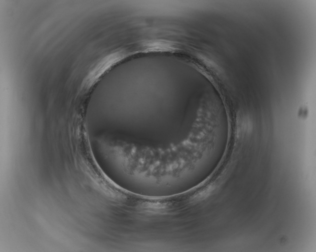 X0000112831401200908211205
