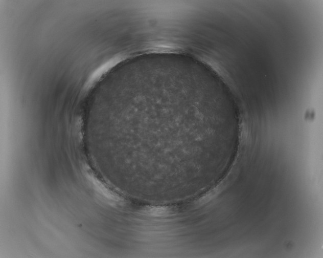 X0000112831402200908211205