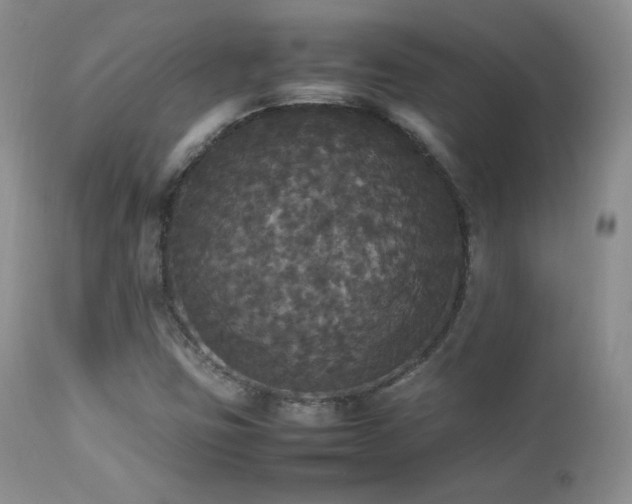 X0000112831403200908211206
