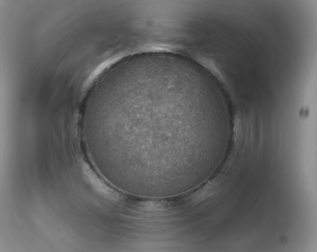X0000112831404200908211206