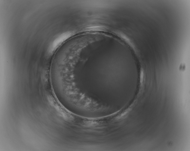 X0000112831405200908211206