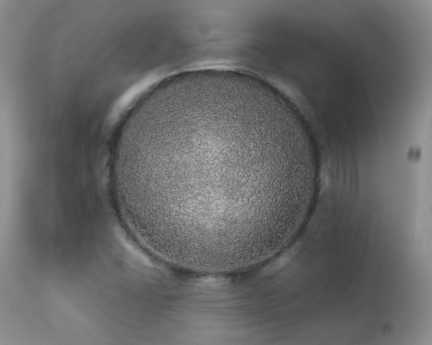 X0000112831406200908211206