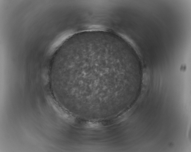 X0000112831407200908211206