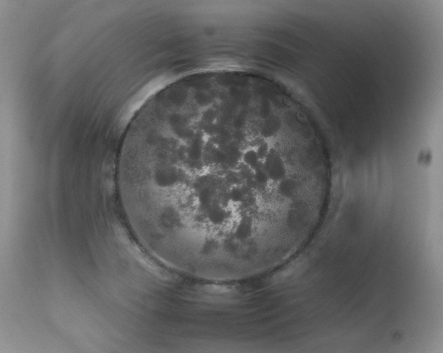 X0000112831409200908211206