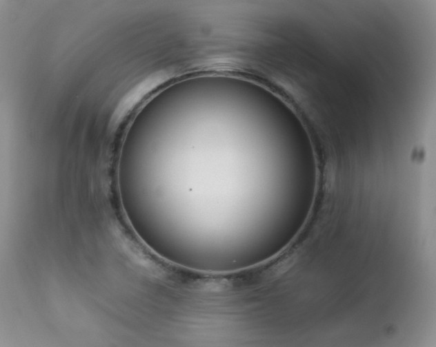 X0000112831410200908211206