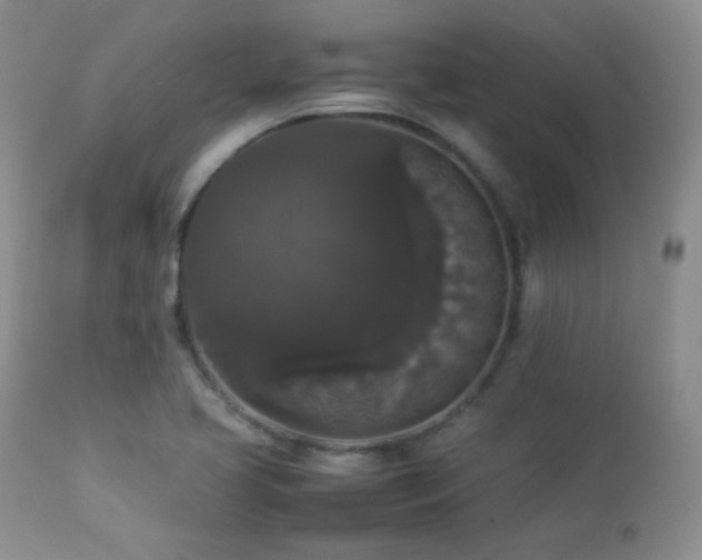 X0000112831413200908211206