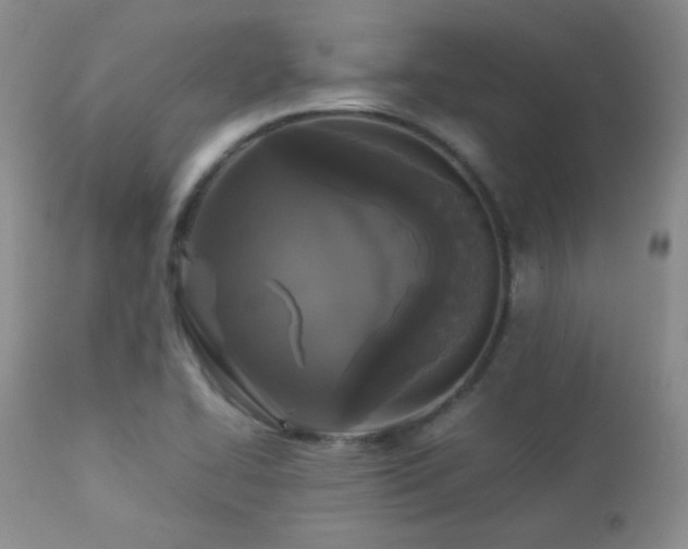 X0000112831414200908211206