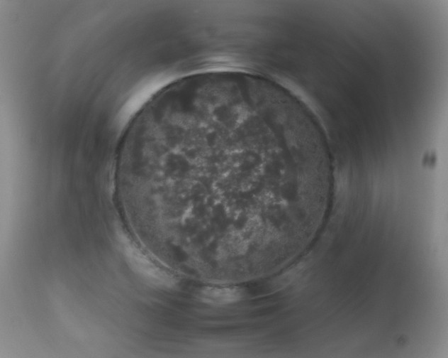 X0000112831415200908211206