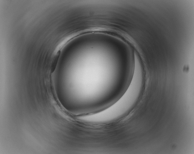 X0000112831417200908211206