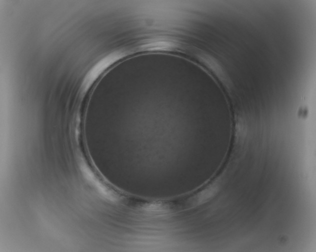 X0000112831418200908211206