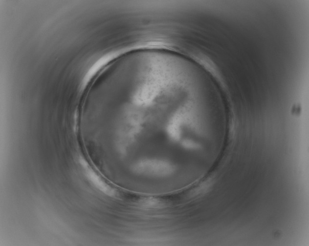 X0000112831420200908211206