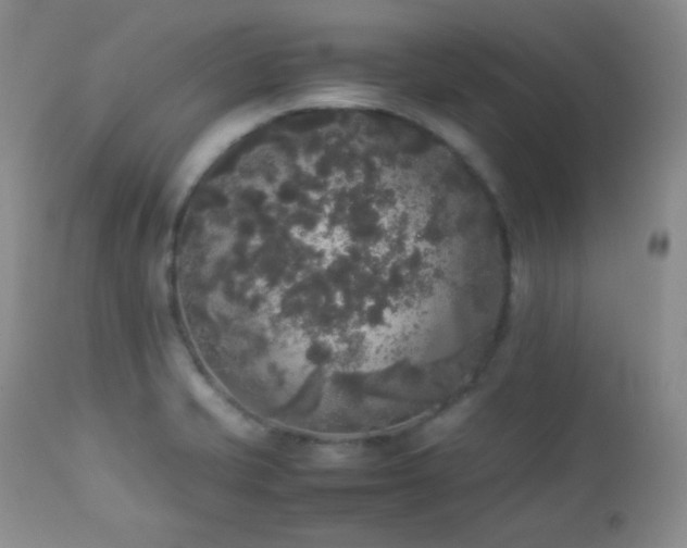 X0000112831421200908211206