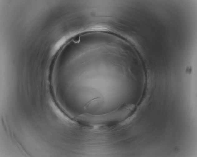 X0000112831422200908211206