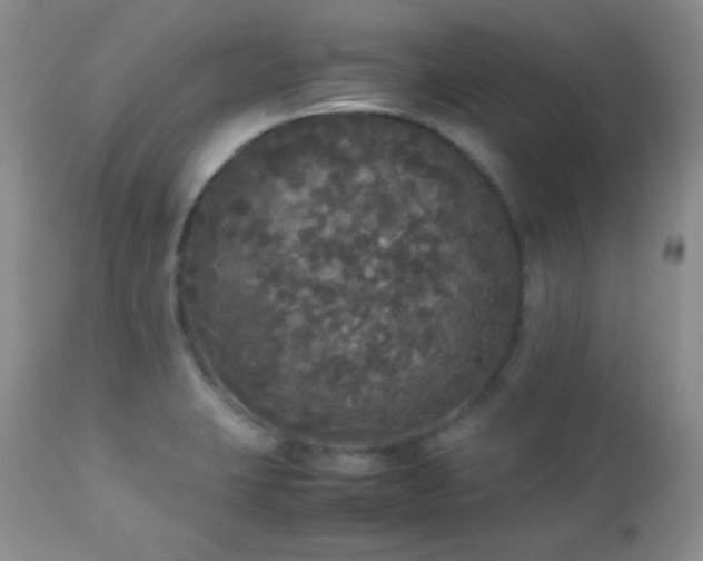 X0000112831423200908211206