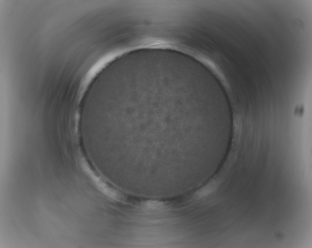 X0000112831424200908211206