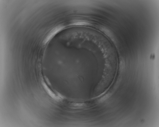 X0000112831425200908211206