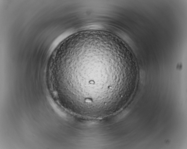 X0000112831426200908211206