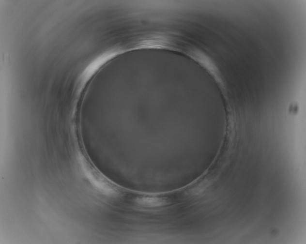 X0000112831427200908211206