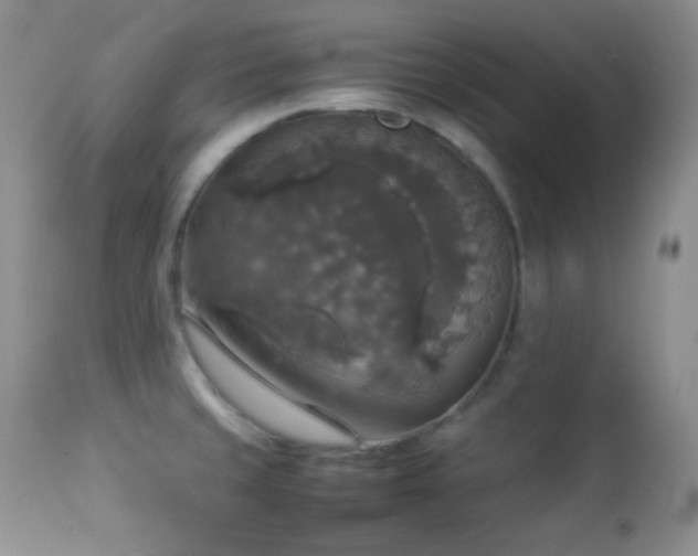 X0000112831429200908211206