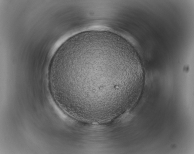 X0000112831430200908211206