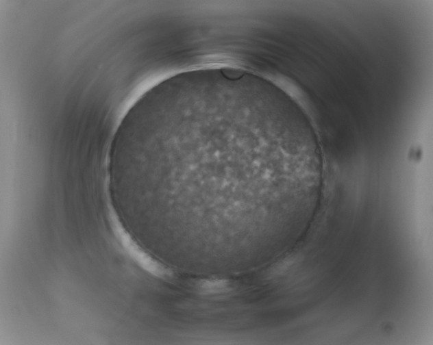 X0000112831431200908211206