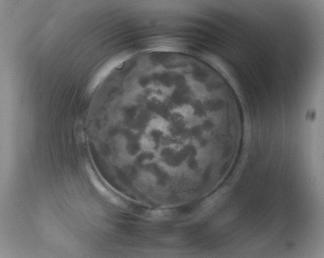 X0000112831433200908211206