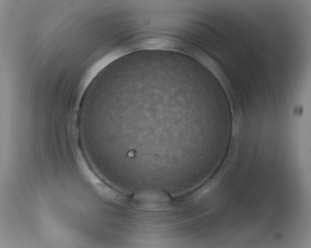 X0000112831434200908211206