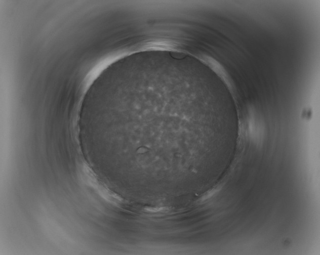 X0000112831435200908211206