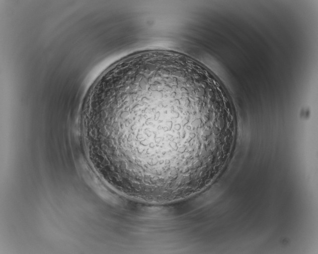 X0000112831436200908211206