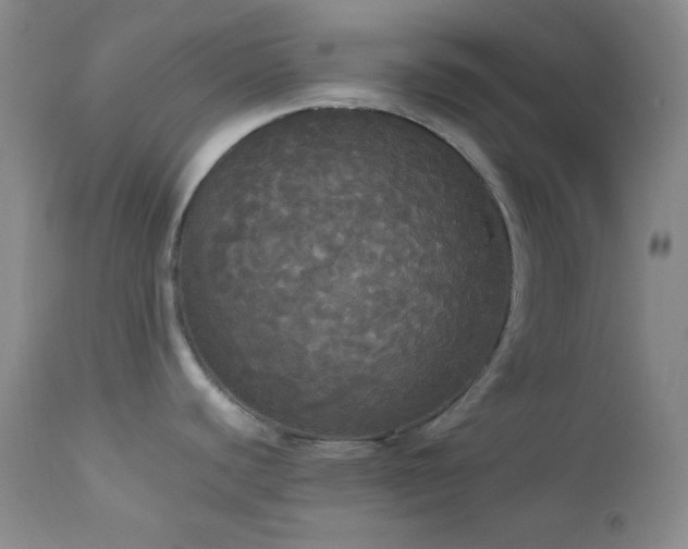 X0000112831440200908211206