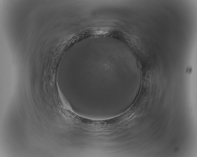 X0000112831441200908211205