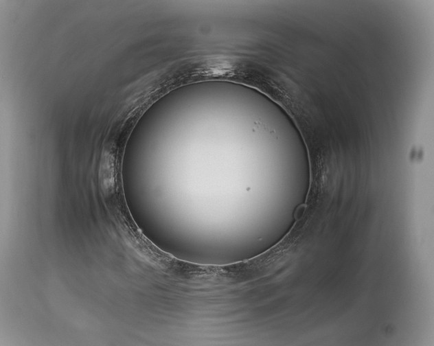 X0000112831442200908211205