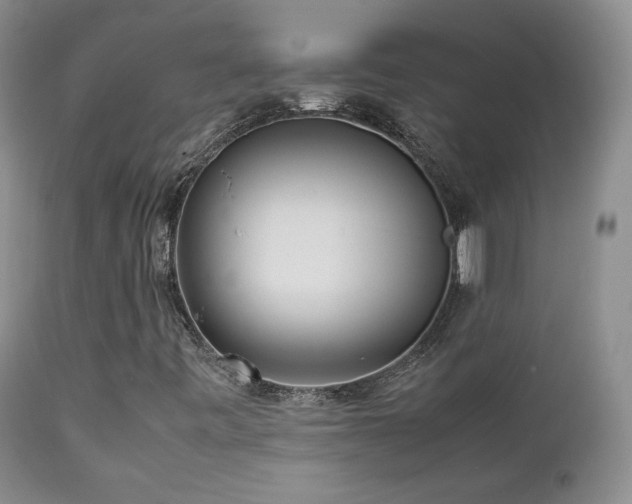 X0000112831443200908211205