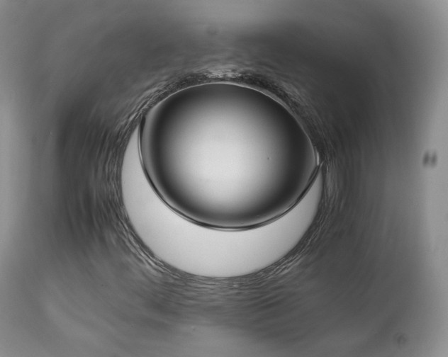X0000112831444200908211205