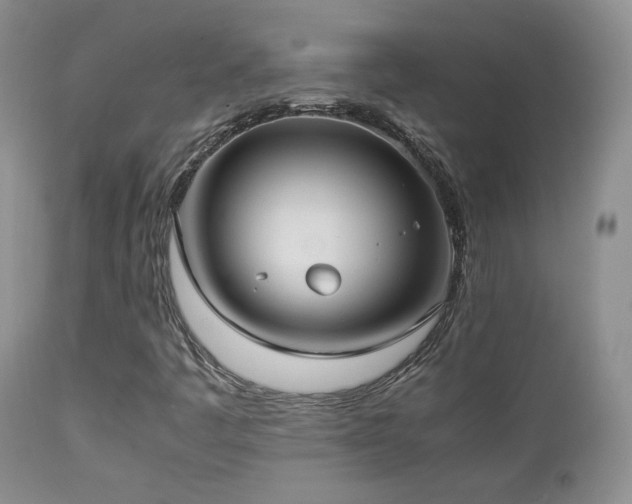 X0000112831445200908211205
