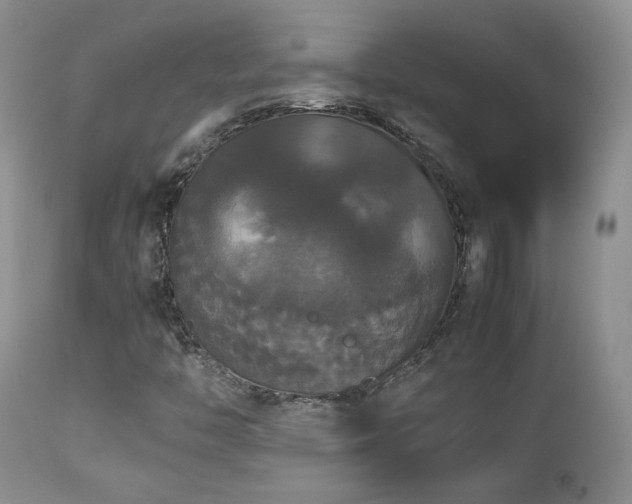 X0000112831446200908211205