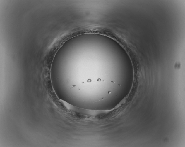 X0000112831447200908211205