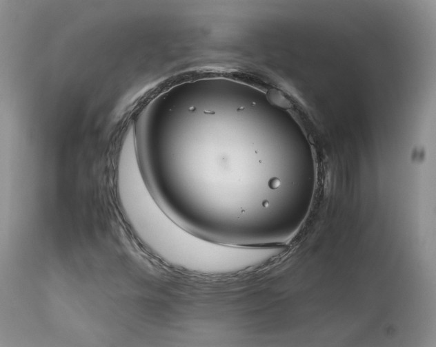 X0000112831448200908211205