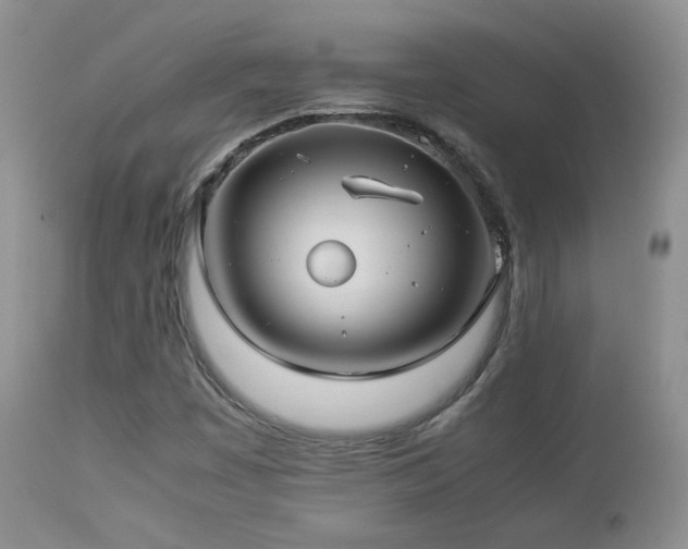 X0000112831449200908211205
