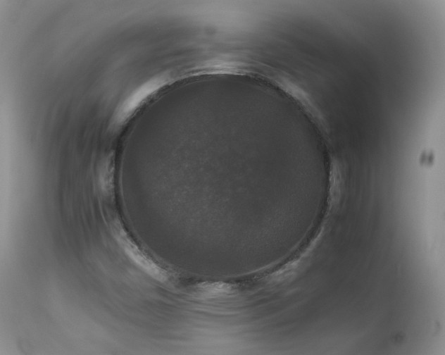 X0000112831450200908211205