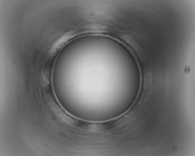 X0000112831451200908211205