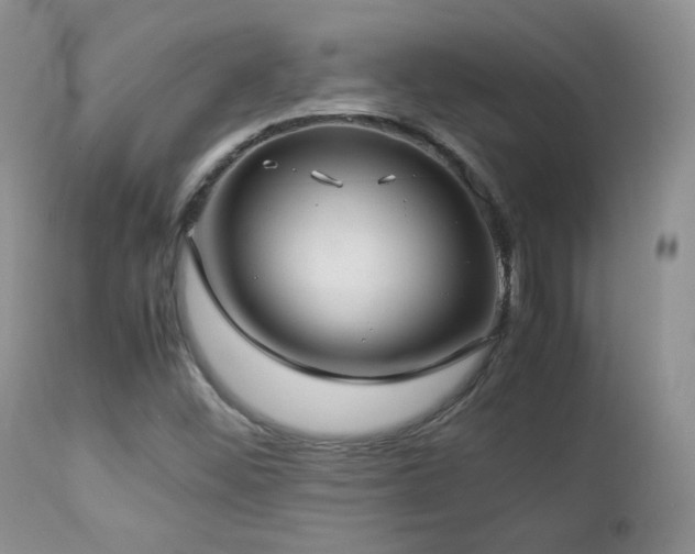 X0000112831452200908211205