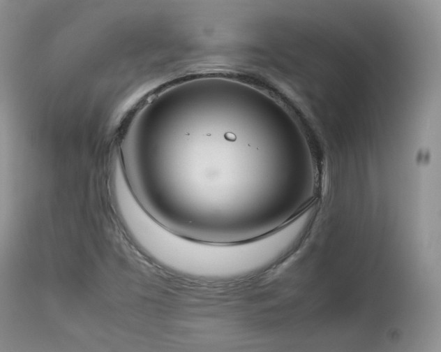 X0000112831453200908211205