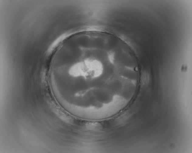 X0000112831454200908211205