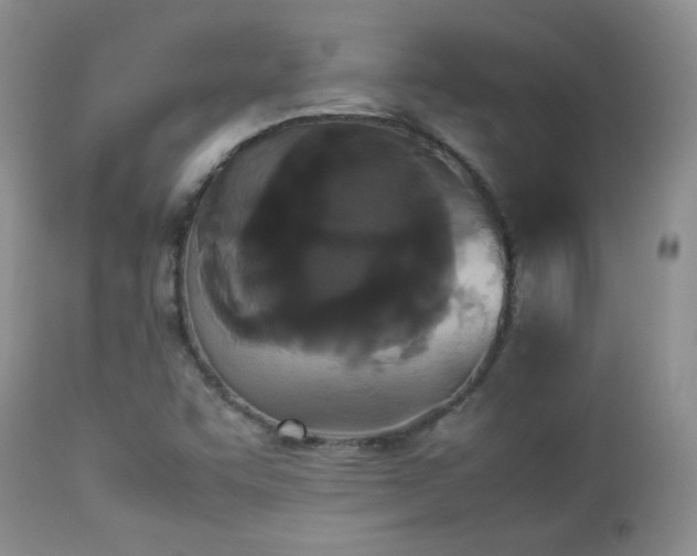 X0000112831455200908211205