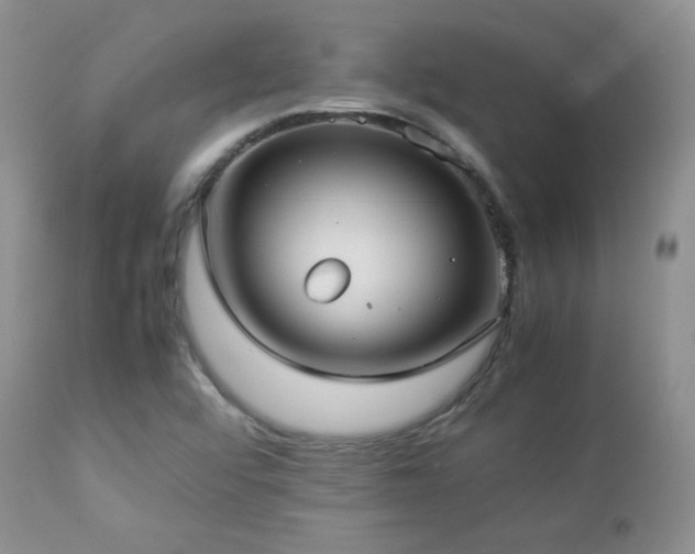 X0000112831456200908211205