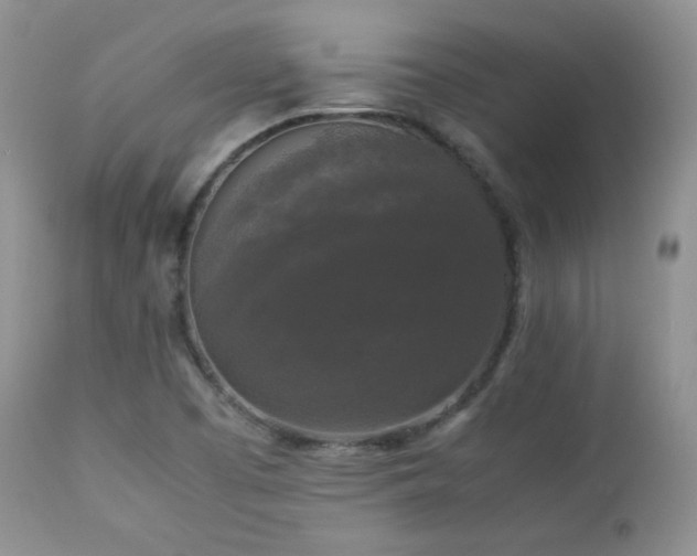 X0000112831457200908211205