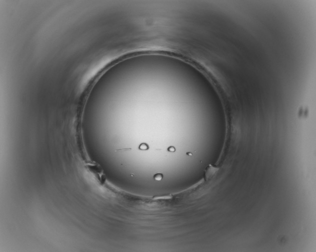 X0000112831460200908211205