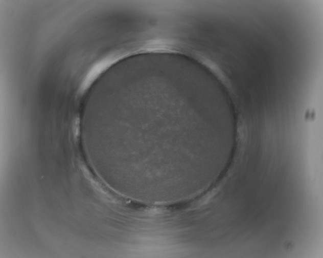 X0000112831461200908211205